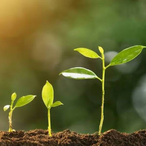 Meet your Posher, Aashita